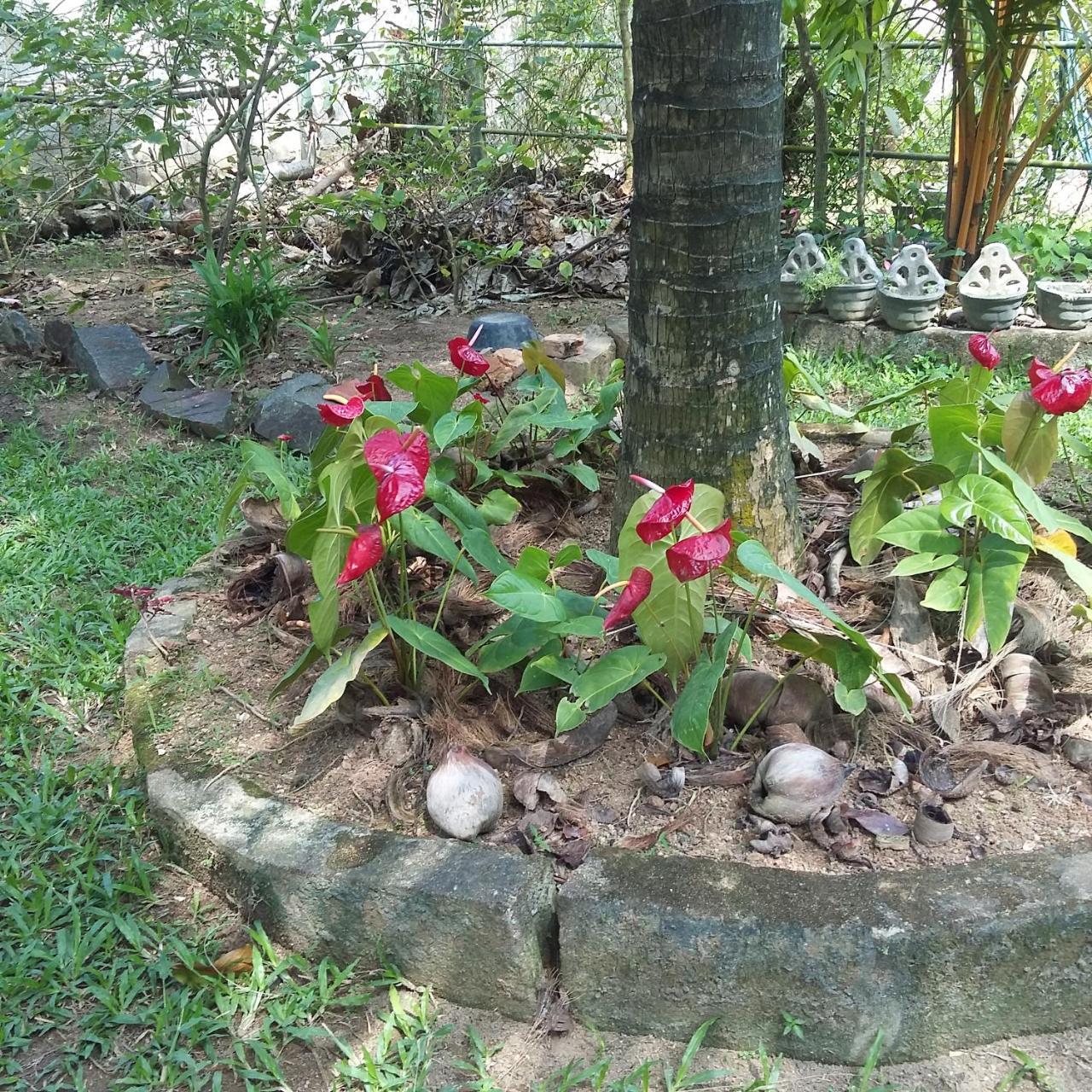 Bed and Breakfast Omee Guest Mirissa Exterior foto