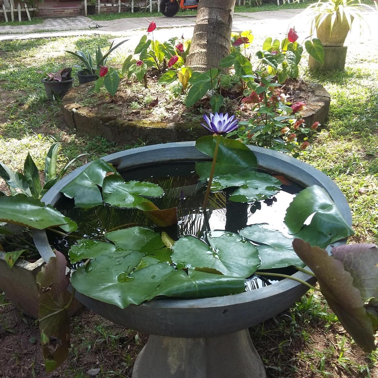 Bed and Breakfast Omee Guest Mirissa Exterior foto